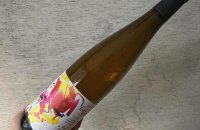 1320SHU 2023 朱