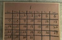 1343Vinaiota 2021 ヴィナイオータ