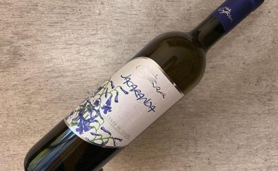 JACARANDA 2022 ジャカランダ
