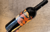 1652Campi Flegrei DOC”HARMONIA”2020 カンピフレグレイ•アルモニア