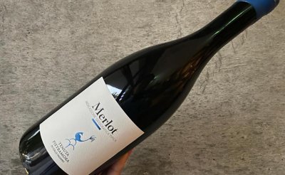 MERLOT 2017  メルロー