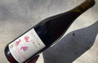 2353Falanghina del Sannio 2022  ファランギーナ•デル•サンニオ