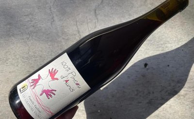 Pineau d’Aunis 2022  ピノ•ドニス