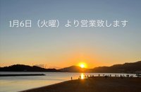 2602かしら農園里芋とアオリイカの煮込み